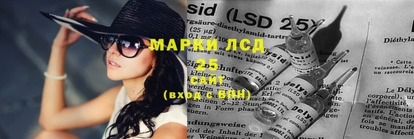 spice Верея